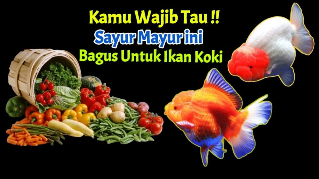 Sayuran untuk pakan goldfish