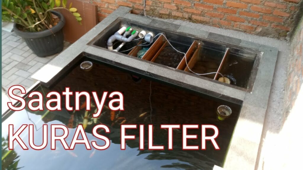 filter kolam ikan hias