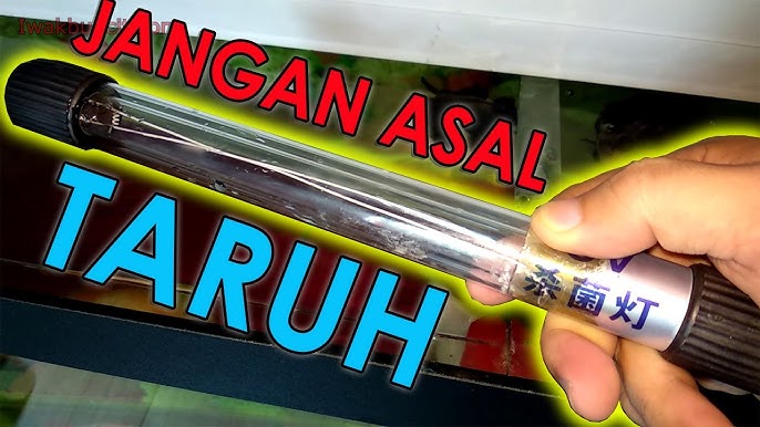 cara pasang lampu UV

CR : Youtube iwak buncit